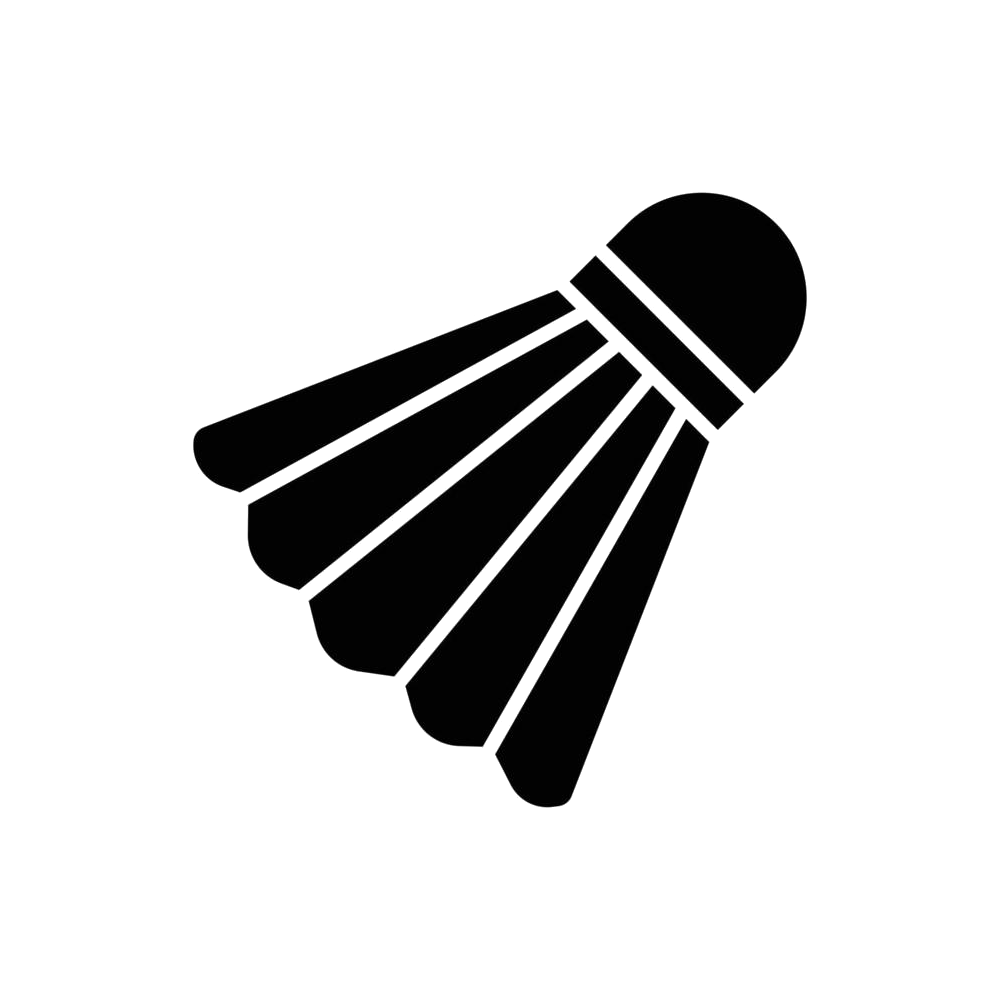 Badminton shuttlecock